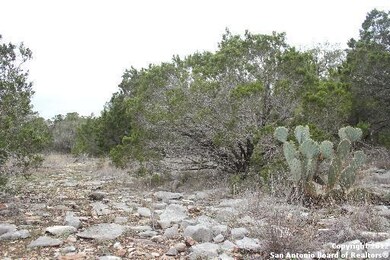 12243 Clovis, Helotes, TX 78023 - photo 5