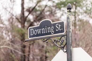 110 Downing St, Oxford, MS 38655 - photo 5