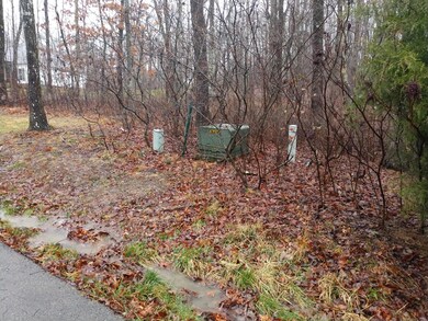 Mountain Laurel Ln 4 .png