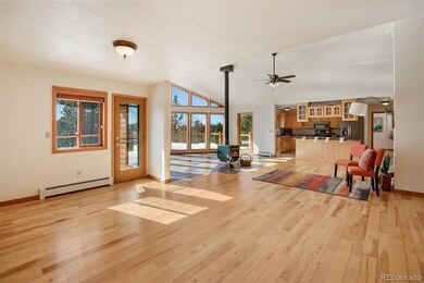 4155 Cedar Mountain Rd, Divide, CO 80814 - photo 4