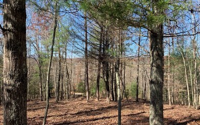 Additional View