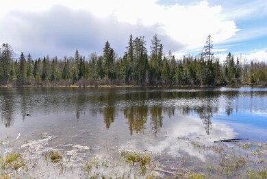 NIK_8079