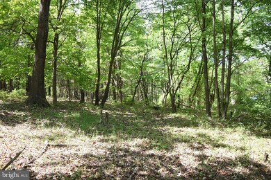 458 Gaither Rd, Great Cacapon, WV 25422 - photo 5