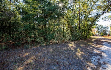 00 177th Ln, Live Oak, FL 32060 - photo 3