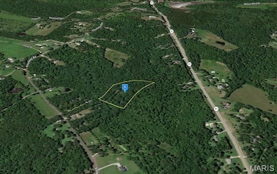 13821 Vineland Rd, de Soto, MO 63020 - photo 2