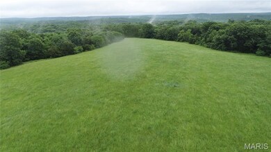 16292 Maries Road 303, Vienna, MO 65582 - photo 3