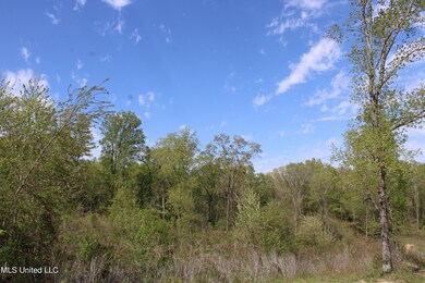 IMG_3704