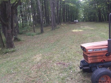 0 Albany Turnpike unit 202125262, Chatham, NY 12136 - photo 3