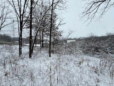 L7 Fawn Meadow Ln, Verona, WI 53593 - photo 6