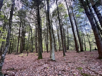 00 Mt Laurel Rd unit LotWP001, Greenfield Park, NY 12435 - photo 7