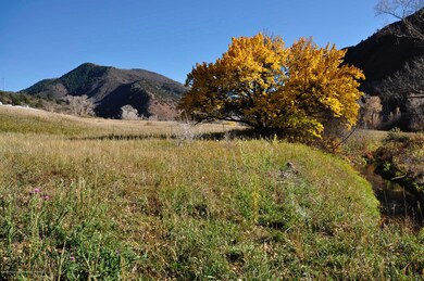 hay pasture