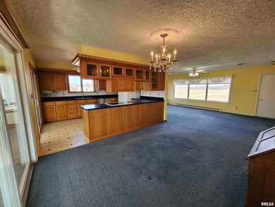 11700 300th St N, Hillsdale, IL 61257 - photo 5