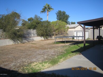 Back yard