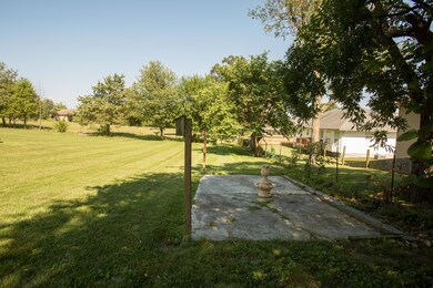 IMG_0010