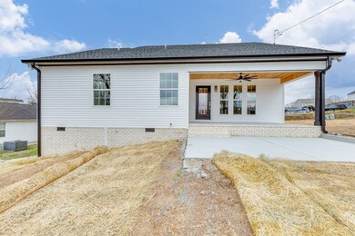 203 Shelbyville Mills Rd, Shelbyville, TN 37160 - photo 2