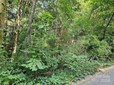 00 General Griffith Cir unit 31, Rutherfordton, NC 28139 - photo 6