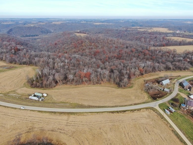 Lot 3 N Buck Creek Rd, Freeman, WI 54628 - photo 6