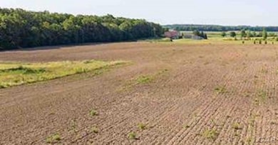 1000 Dinius Rd unit 1000 Blk., Tecumseh, MI 49286 - photo 3