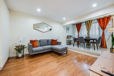 38 Juniper St unit 104, Brookline, MA 02445 - photo 4