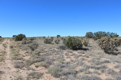 0 51st Ave NW unit 1094048, Rio Rancho, NM 87144 - photo 4