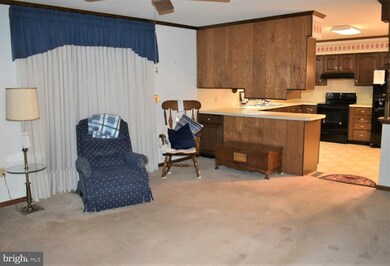 101 Tracy Cir, Laurel, DE 19956 - photo 5