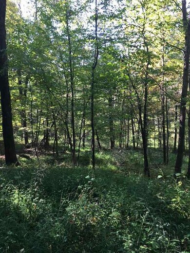 221 Tow Path Rd, Accord, NY 12404 - photo 2