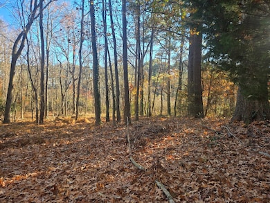 8396 Wellington Neck Rd unit 14, Franktown, VA 23355 - photo 2