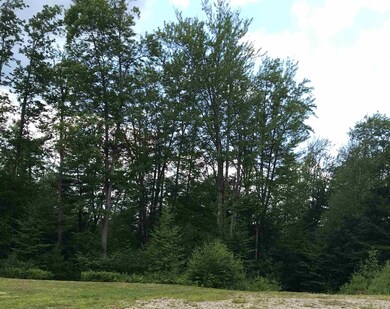 0 Connecticut Heights Rd, Charlestown, NH 03603 - photo 7