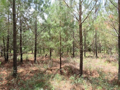 0 Louise Bell Rd, Lumpkin, GA 31815 - photo 5