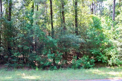 0000 Chelsie Place, Magnolia, TX 77354 - photo 6