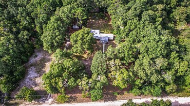 3742 276th Terrace, Branford, FL 32008 - photo 6