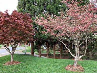 Front yard