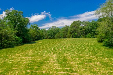 DJI_0988