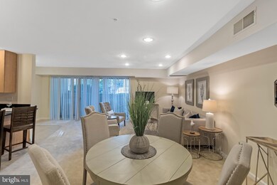 1138 Cove Rd unit 101, Annapolis, MD 21403 - photo 5