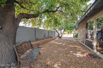 40-Back yard