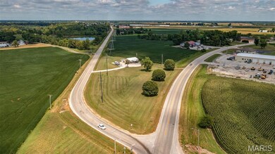 20447 Old Route 66, Staunton, IL 62088 - photo 7