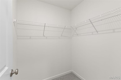 36 Shady Elm Ct, Saint Charles, MO 63301 - photo 7