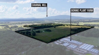 Tract 9 Nursery Ln, Howe, OK 74940 - photo 7