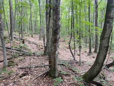 0 Maple St, Jay, VT 05859 - photo 3