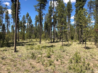 16972 Upland Rd, Bend, OR 97707 - photo 2