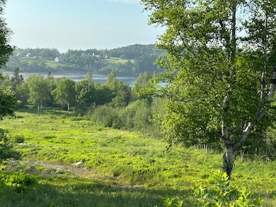 Open Field