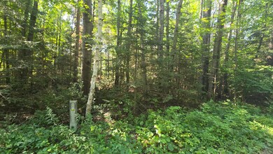 2 Lots Timber Lodge Rd, Rhinelander, WI 54501 - photo 5