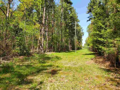 4545 Old Graham Rd, Pittsboro, NC 27312 - photo 3