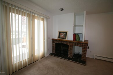 Wood Burning Fire Place
