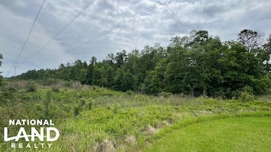 0 Sailor Rd, Creola, AL 36525 - photo 3