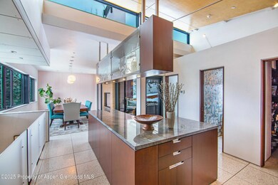 305 Larkspur Ln, Aspen, CO 81611 - photo 3