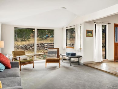 26994 Grey Moose Trail, Conifer, CO 80433 - photo 7