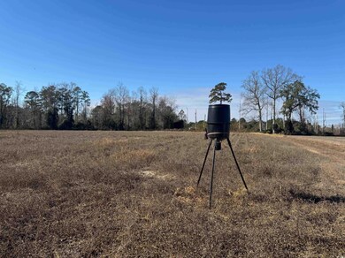 Tract 2 Beth Dr, Nichols, SC 29581 - photo 4