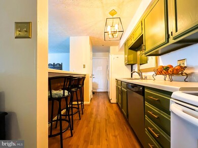 705 Deering Rd unit 5E, Pasadena, MD 21122 - photo 5