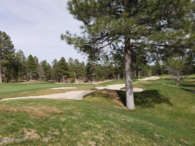 005_Tower Course Hole 17